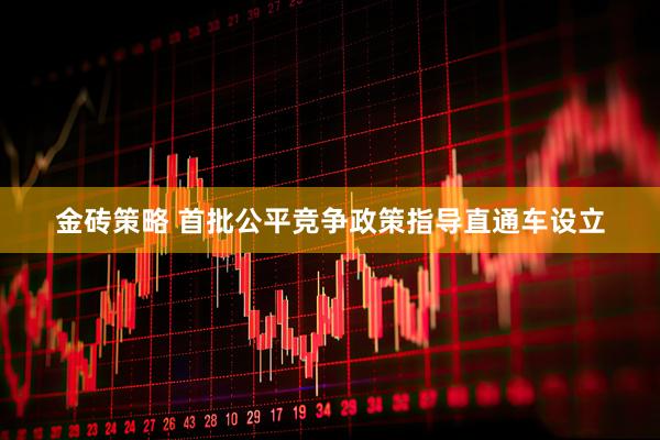 金砖策略 首批公平竞争政策指导直通车设立