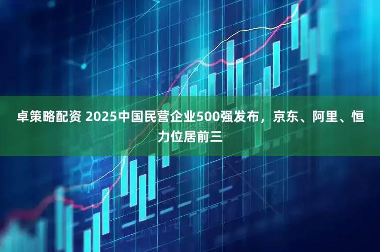 卓策略配资 2025中国民营企业500强发布，京东、阿里、恒力位居前三