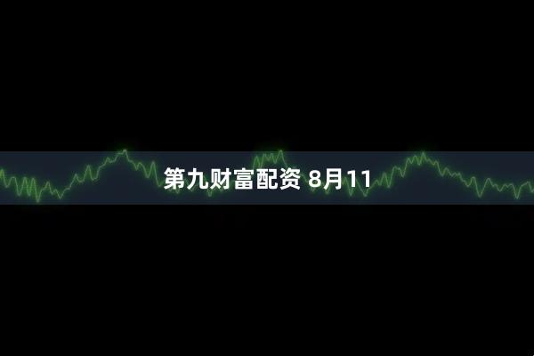 第九财富配资 8月11